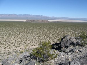 Ivanpah Valley, Mojave Desert, California. Photo courtesy of Basin and Range Watch. This place will be destroyed by a solar energy project.