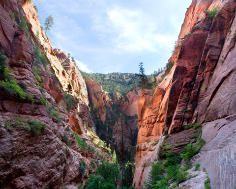 Spring Creek Canyon, Utah