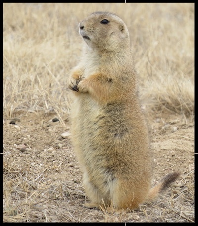 0761428d-3e70-4550-ab99-d81c137de5eb